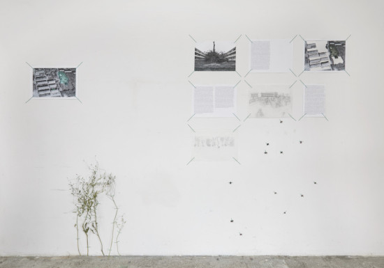 Platform+Friction_photo+by_Jenny+Sundby_026